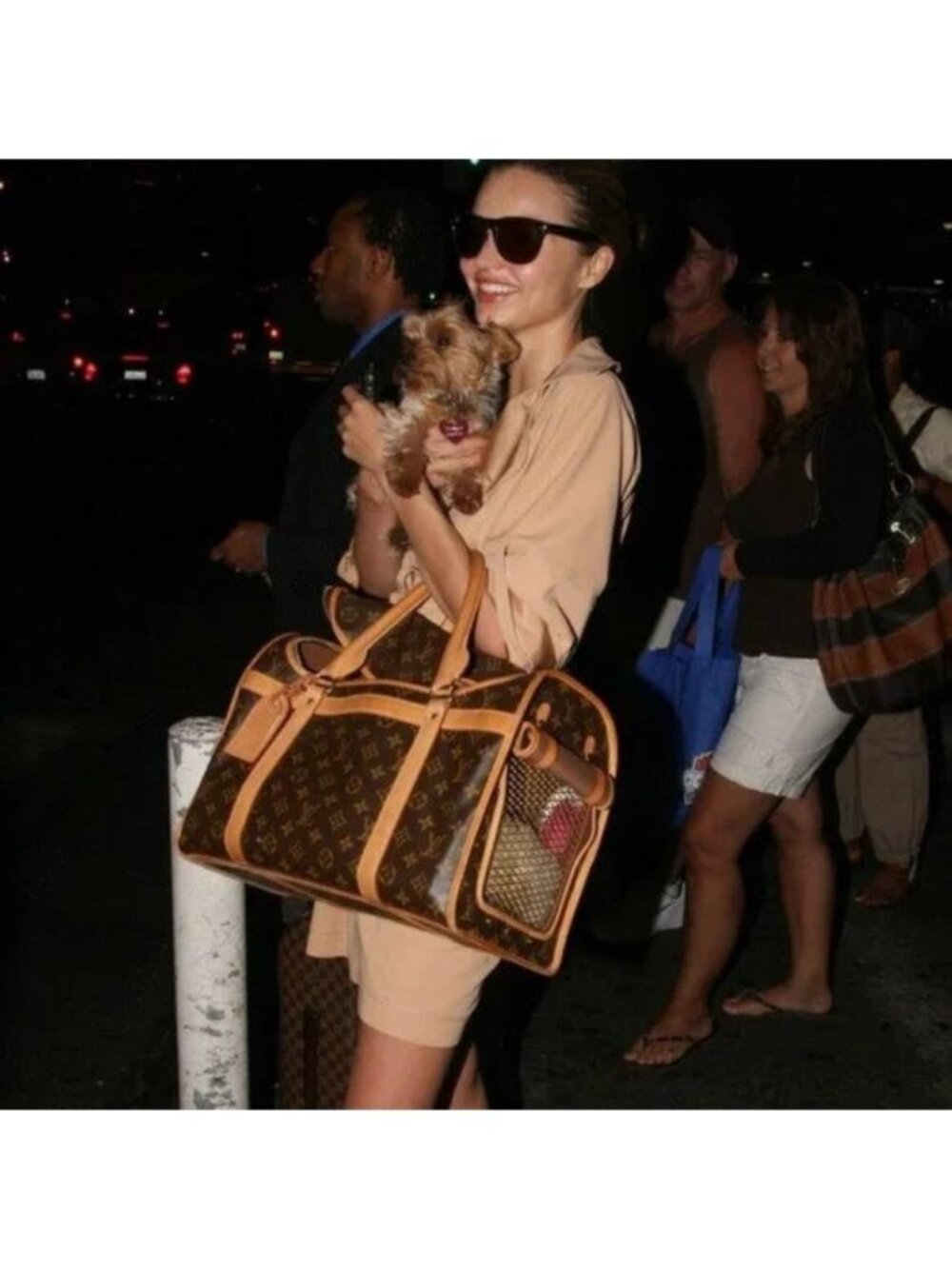 Louis Vuitton Sac Chien 40 dog Carrier Monogram Pet Travel Bag Purse